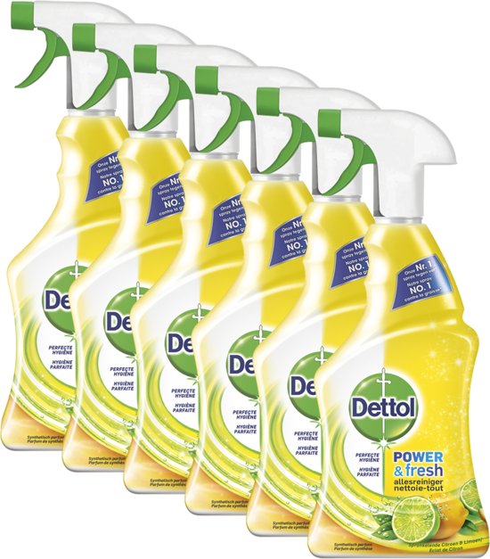 Dettol Allesreinger Spray Power & Fresh Spray Citroen